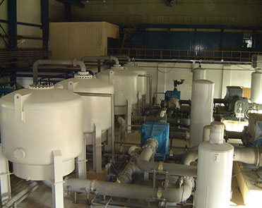 o2 plant manufacturer