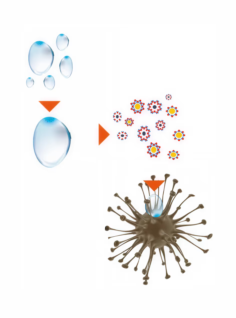 Purvection enthalpy